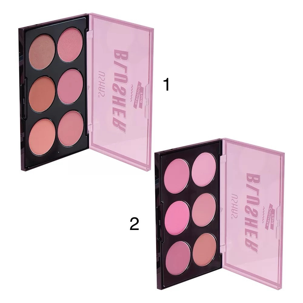 Palette 6 Blush compatto 💗 USHAS